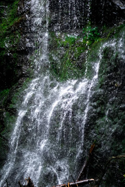 Alta cascada en el bosque oscuro plantas de color verde oscuro alrededor, troncos debajo de la cascada — Foto de Stock