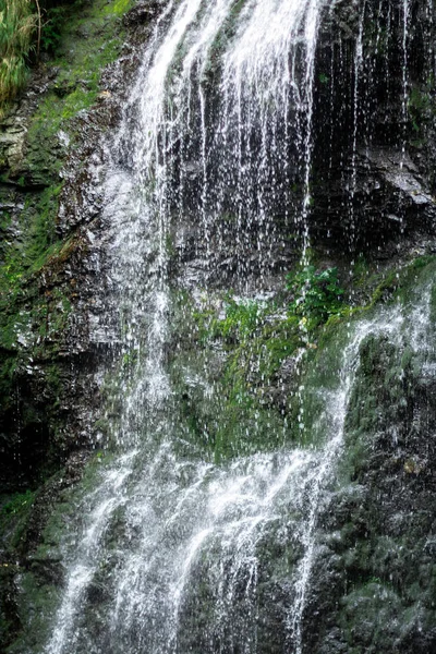 Alta cascada en el bosque oscuro plantas de color verde oscuro alrededor, troncos debajo de la cascada — Foto de Stock