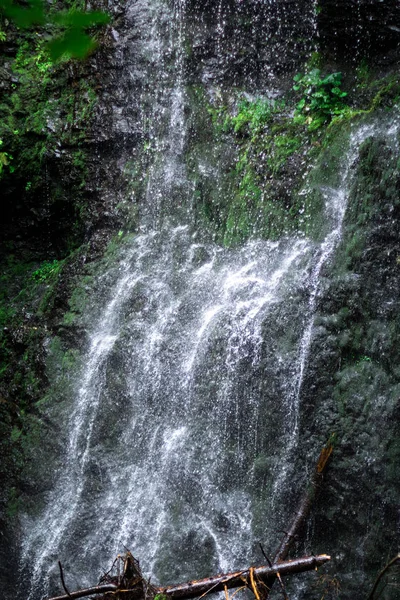 Air terjun tinggi di hutan gelap hijau gelap tanaman di sekitar, log di bawah air terjun — Stok Foto