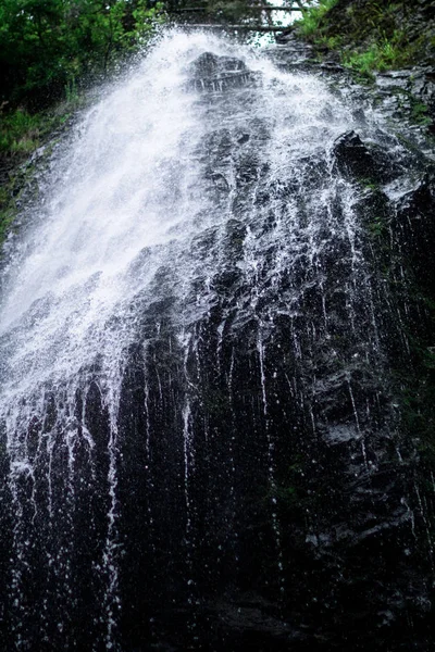 High waterfall in dark forest dark green plants around, logs below of waterfall — Stock Photo, Image