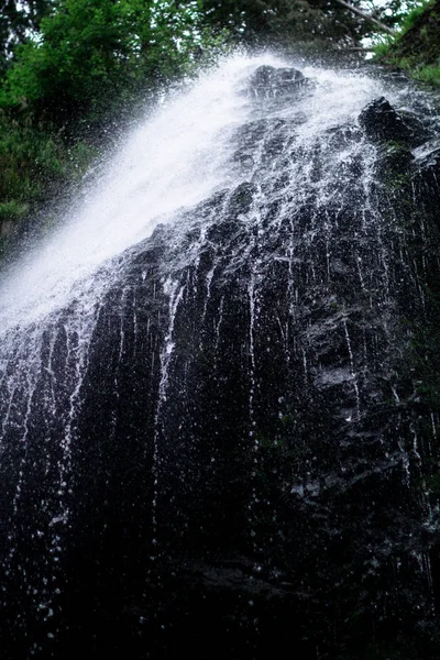 Высокий водопад в темном лесу темно-зеленые растения вокруг, бревна под водопадом — стоковое фото