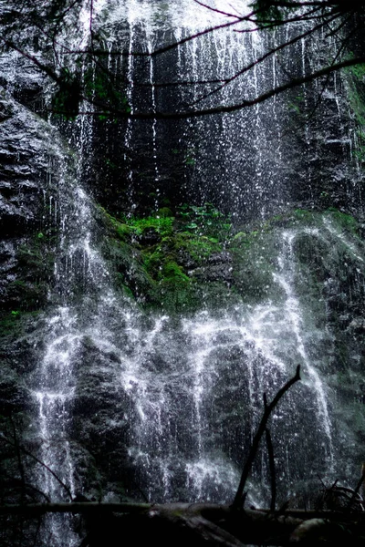 Alta cascada en el bosque oscuro plantas de color verde oscuro alrededor, troncos debajo de la cascada — Foto de Stock