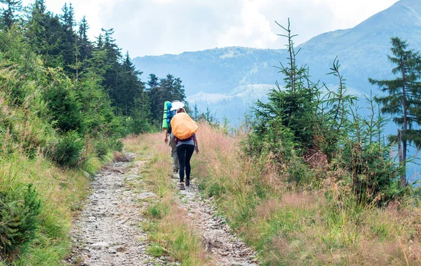 ladin ormanında dağ yolunda üç tanınmaz kadın yürüyüşçüler