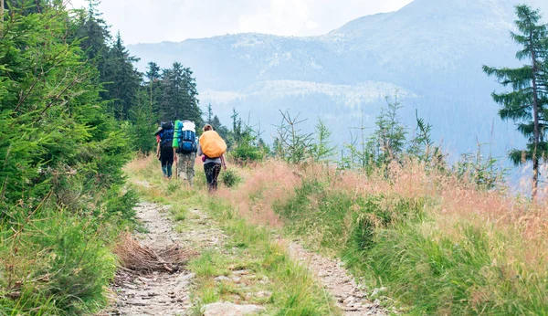 ladin ormanında dağ yolunda üç tanınmaz kadın yürüyüşçüler