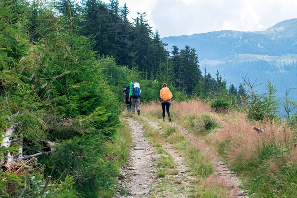 Trois randonneuses méconnaissables sur le sentier de montagne dans la forêt d'épinettes — Photo