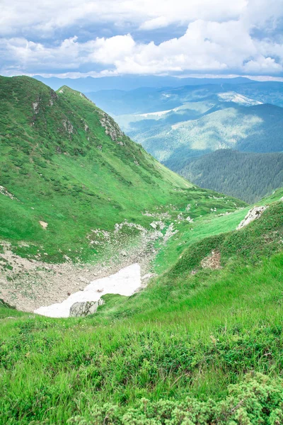 Сніговий льодовик у зеленій гірській ущелині — стокове фото