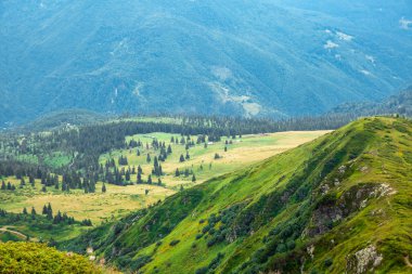yeşil orman ile çevrili ayak tepelerde sarı dağ vadisi