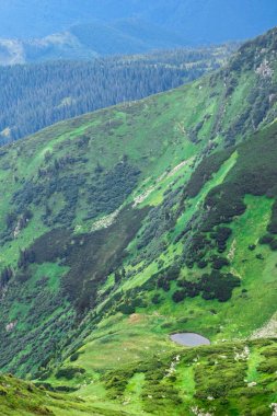 dağ sırtının tepesinde yeşil bir dağ geçidinde küçük göl