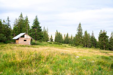 dağ ormanında glade üzerinde küçük kulübe