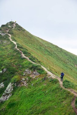 yeşil dağ sırtı zirvesine yolda tanınmayan yürüyüşçü