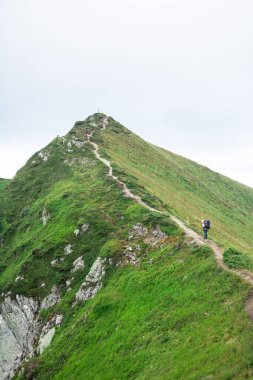 yeşil dağ sırtı zirvesine yolda tanınmayan yürüyüşçü