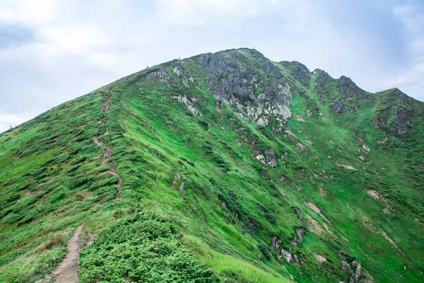 Стежка до вершини зеленого гірського хребта — стокове фото