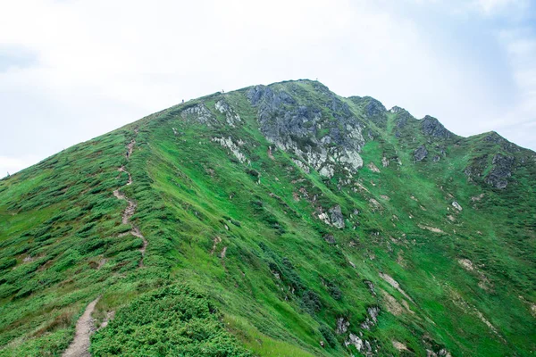 Szlak do szczytu zielonego grzbietu górskiego — Zdjęcie stockowe