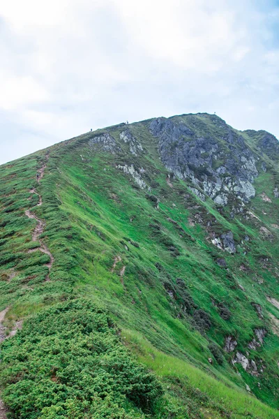 The trail to the peak of green mountain ridge — Stock Photo, Image