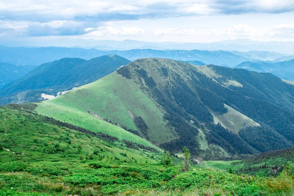 Zielone góry Karpat grzbiet, niskie chmury — Zdjęcie stockowe