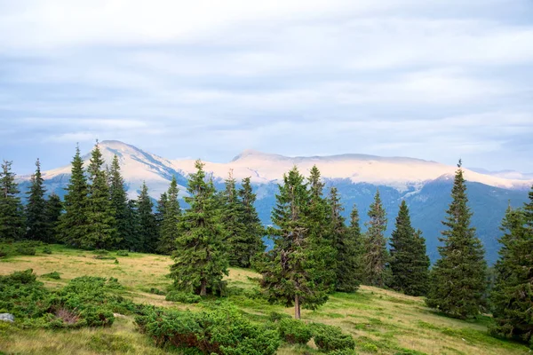 turuncu günbatımı ışık büyük dağ, ön planda ladin orman, vanilya bulutları