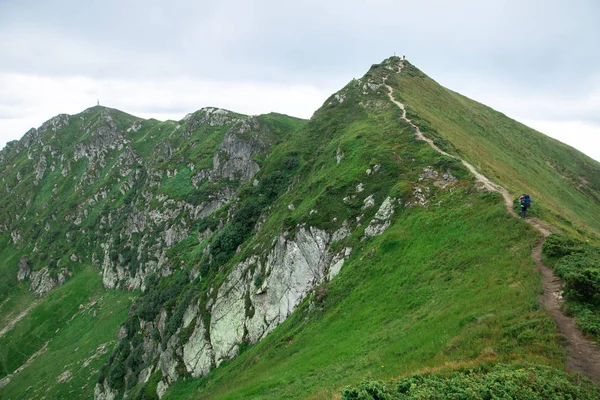 yeşil dağ sırtı zirvesine yolda tanınmayan yürüyüşçü