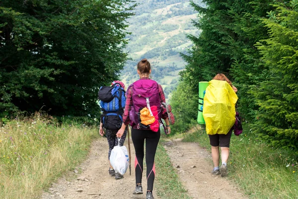 Tre escursioniste irriconoscibili sul sentiero di montagna nella foresta di abeti rossi, con una tasca di spazzatura — Foto Stock