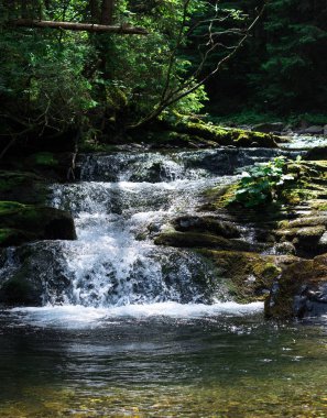 gölet akan berrak su ile küçük dağ şelalesi