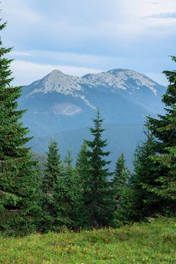 karpat dağlarda dağ sırası gorgany