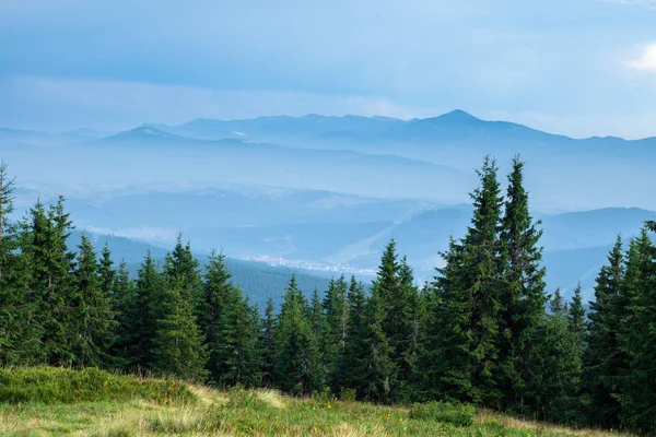 Mountain range cavered with blue fog in carpathin mountains — Stock Photo, Image