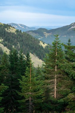 karpat dağlarda dağ sırası gorgany