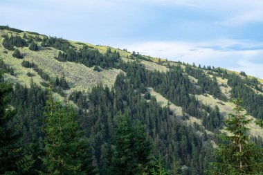 karpat dağlarında dağ sırası gorgany