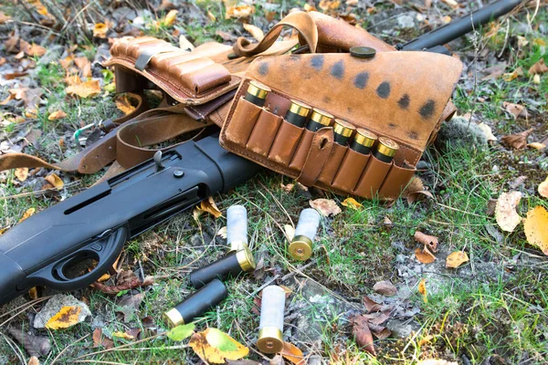 Shotgun, φυσίγγια και vintagec artridge ζώνη στο γρασίδι στο δάσος του φθινοπώρου — Φωτογραφία Αρχείου