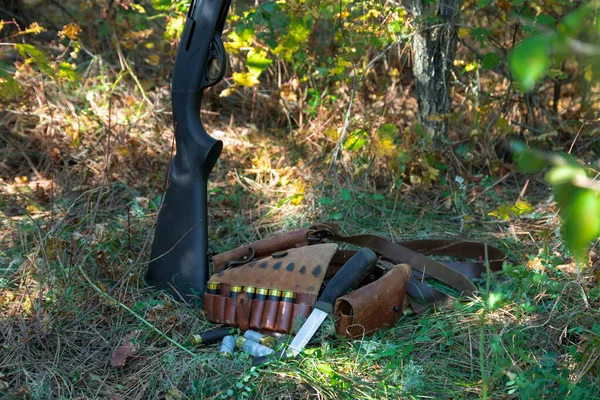 Escopeta, cartuchos y cinturón de cartuchos vintage en la hierba en el bosque de otoño — Foto de Stock
