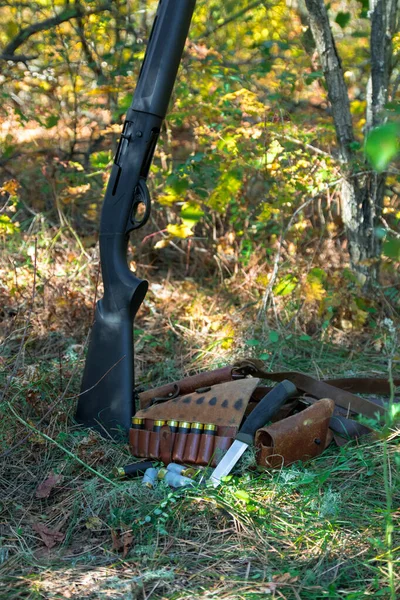 Escopeta, cartuchos y cinturón de cartuchos vintage en la hierba en el bosque de otoño — Foto de Stock