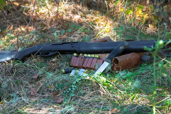Shotgun, cartridges en vintage cartridge riem op gras in het najaar bos — Stockfoto