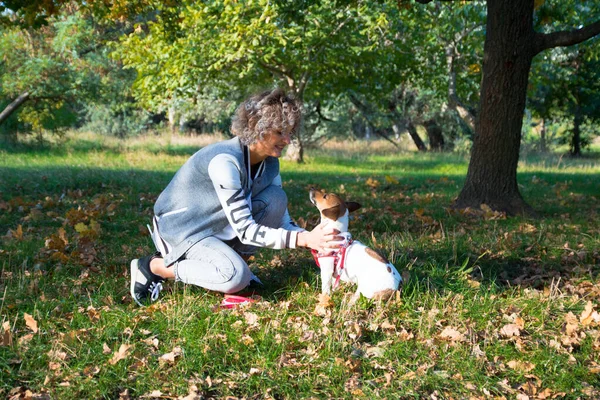 Piękna blondynka kręcone dziewczyna bawi się ze swoim zwierzakiem, Jack Russell pies w zielonym parku jesień — Zdjęcie stockowe