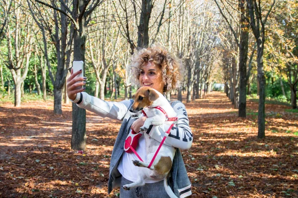 Blondynka kręcone kobieta robi selfie z Jack Russell pies w jesiennym parku na pomarańczowe liście — Zdjęcie stockowe
