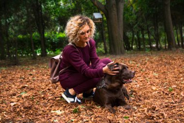 Sarışın kıvırcık kız, sonbahar parkında turuncu yapraklı çikolata labradoruyla oynuyor.