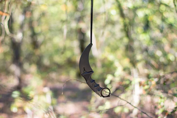 karambit knife hanging from a tree on a rope in the forest