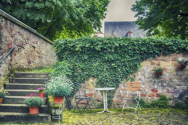 Ogród Mieście Trewir Niemcy — Zdjęcie stockowe