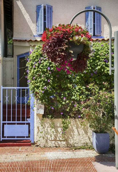 รายละเอ ยดของสวนบ านใน San Tropez Cote Azur France — ภาพถ่ายสต็อก
