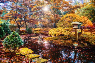 Japonca Park, Lahey renkli sonbahar