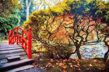 Sonbahar Japonca Park, Hollanda