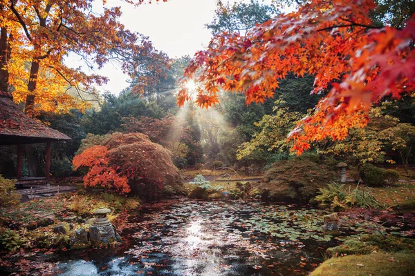 Herbst Hintergrundpanorama Japanischen Park Den Niederlanden — Stockfoto
