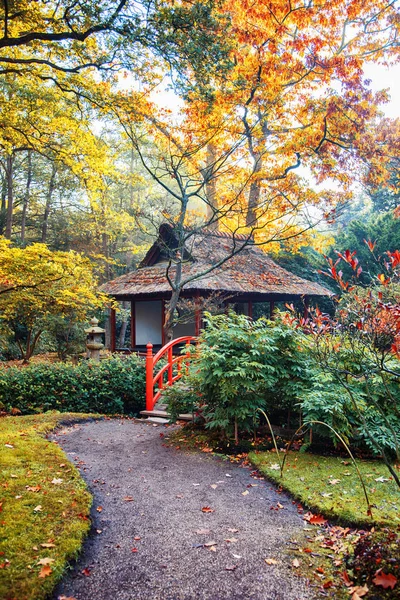 Sonbahar Japonca Park Hollanda — Stok fotoğraf