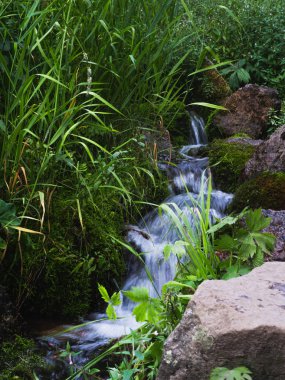 taşlar arasında dağ dere