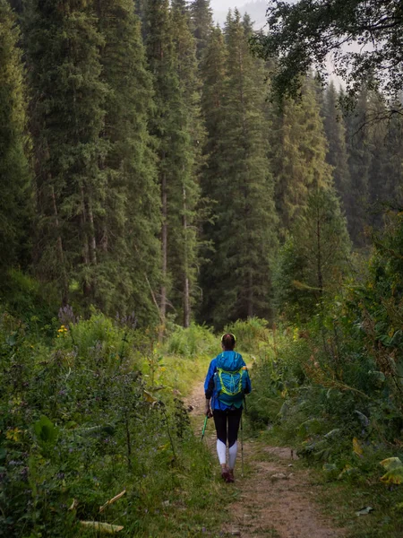 Athlete Walks Mountains Backpack Backdrop Mountains Forest Royalty Free Stock Photos