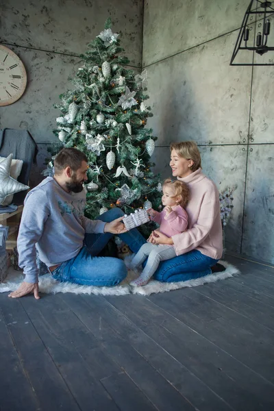 Retrato Natal Bela Família Feliz — Fotografia de Stock