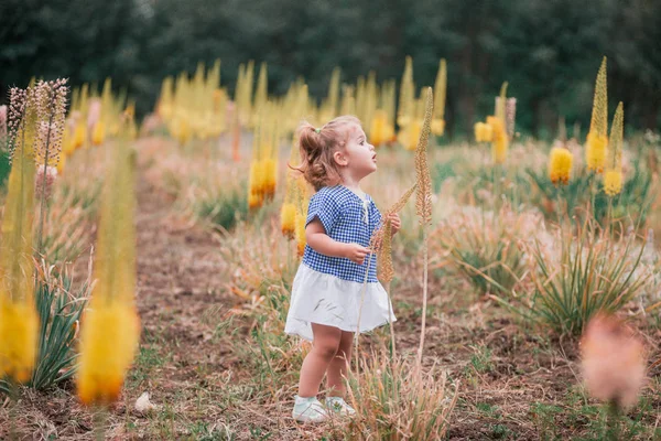 Yaz Bahçesinde Parlak Çiçekli Küçük Bir Kız — Stok fotoğraf