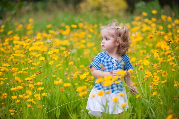 Yaz Bahçesinde Parlak Çiçekli Küçük Bir Kız — Stok fotoğraf