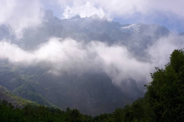 Dalen Bergen Bevuxen Med Trä Och Glaciären Fjärran — Stockfoto