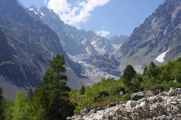 Tal Den Bergen Bewachsen Mit Wald Und Gletscher Der Ferne — Stockfoto