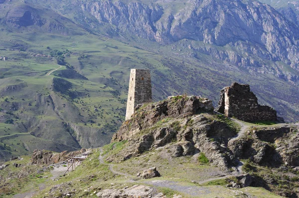 Tal Den Bergen Bewachsen Mit Wald Und Gletscher Der Ferne lizenzfreie Stockbilder