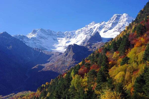 Goldener Herbst Den Bergen Des Kaukasus — Stockfoto